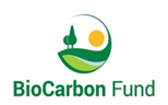 biocarbon