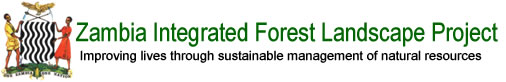 Subgrants – Zambia Integrated Forest Landscape Project